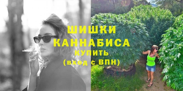 марки nbome Ельня