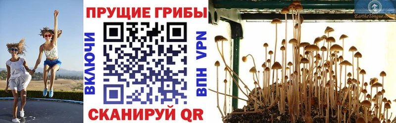 Купить где Старый Крым Псилоцибиновые грибы прущие грибы